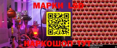 СК Ирбит