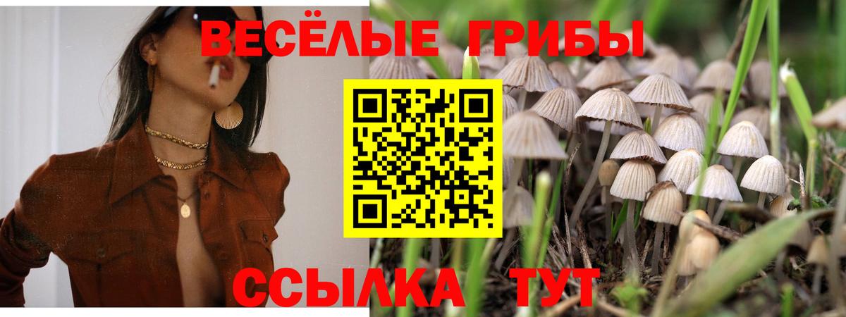 Галлюциногенные грибы Magic Shrooms Глазов